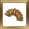 The Golden Child