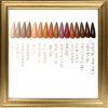 Basics: The Nudes & The Shades